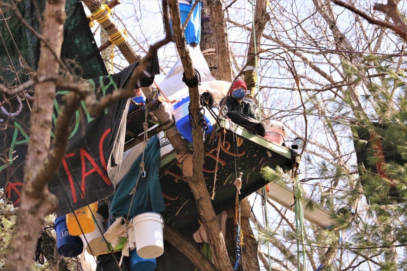 Acre remains in their tree-sit at Yellow Finch on March 23, the day that fellow tree-sitter Robin was extracted. (Photo: Appalachians Against Pipelines)