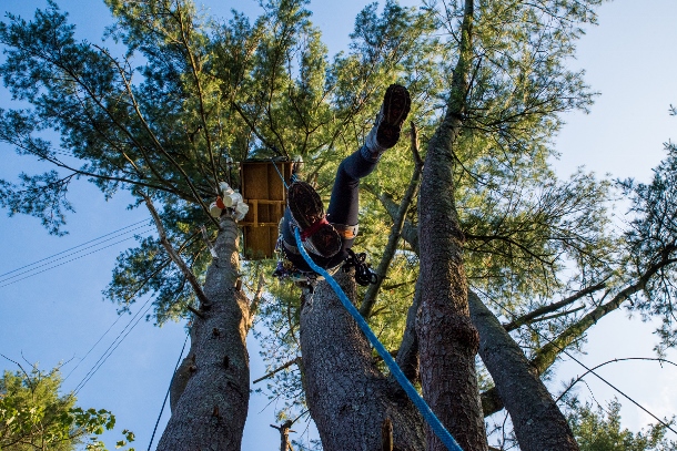 A member of Camp White Pine ascends rope to a platform dozens of feet above ground. The tree-sit directly resists eminent domain efforts by Energy Transfer Partners resulting in delays on clear cutting. (Photo: Chris Baker Evens / Waging Nonviolence)