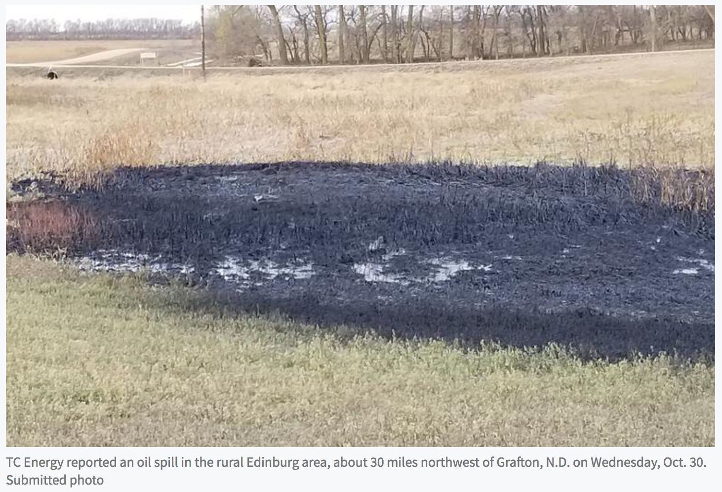 Site of 380,000-gallon tarsands oil spill from Keystone XL pipeline in northeastern North Dakota on Oct. 30, 2019. (Photo: Grand Forks Herald)